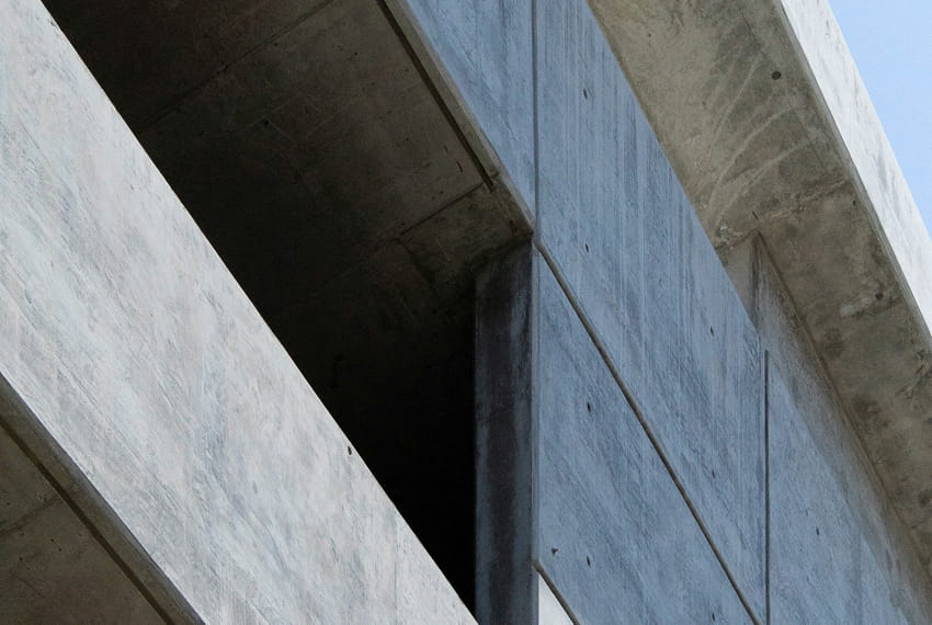 Growth and Community Recognition